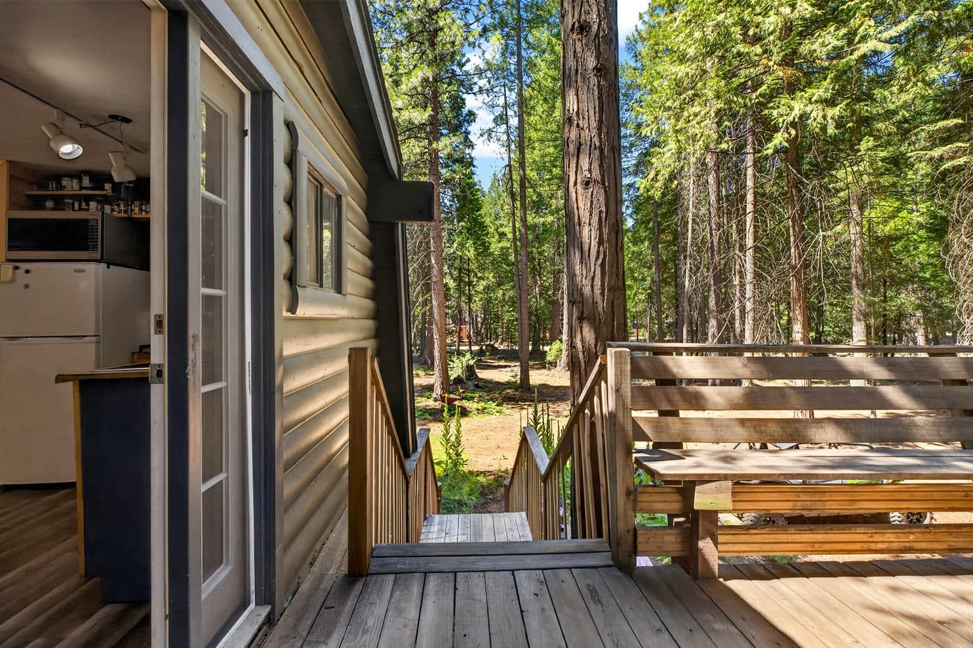 Deck and rear exterior of a cabin surrounded by pines in Shingletown